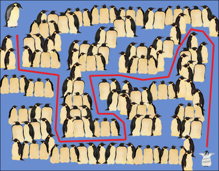 penguin maze solution